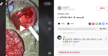 ‘우울계·정병계' 청소년 자살 콘텐츠 SNS 무방비 노출 ‘심각’