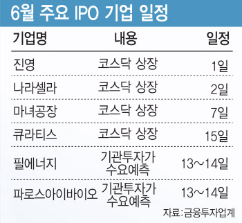 옥석 가리는 IPO 시장…새내기주株 6월에도 ‘진검승부’