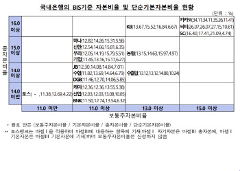 은행 자본비율 '양호'