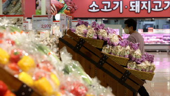 악명 높은 물가에…“서울살이, 도쿄보다 생활비 더 든다?”
