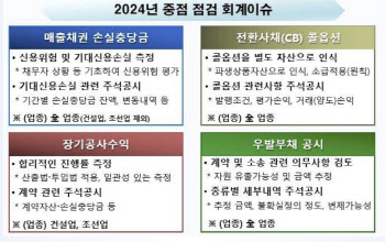 "내년 회계 심사때 이것 주의해야"…금감원, 사전 예고