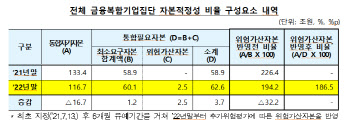 금융복합기업집단 자본비율 '양호'