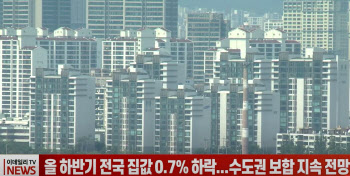 (영상)올 하반기 전국 집값 0.7% 하락...수도권 보합 지속 전망
