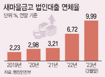 '공동대출' 연체율 20% 육박…새마을금고 부실 공포