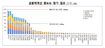 5대은행·지주, 금융체계상 중요 금융기관 선정