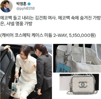 국힘, '김건희 샤넬백' 의혹 제기한 민주당 박영훈 고발