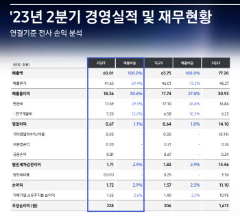 삼성 반도체, 상반기 적자 9조 육박…"낸드 추가감산·HBM 공급집중"