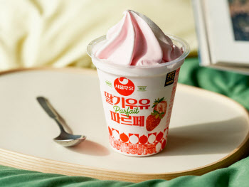 “국가별 입맛 잡았다” 아이스크림 2.4억개 수출 ‘역대최대’