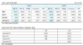 LG화학, 2Q 부진했으나 하반기 기대…주가 조정은 기회-현대차