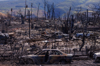 “생존자에 땅 사겠다며 접근”…‘산불참사’ 하와이, 투기꾼들에 경고
