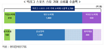 현대경제硏 "손흥민 등 스포츠 스타 1人, 소비재 수출 효과 2700억"