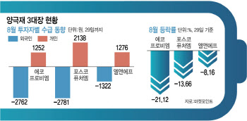 ‘조정 한 달’ 양극재 3대장…‘수요·가격·경쟁’ 악재 속 반등 언제