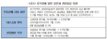 中경제 경고등에 우리 기업들 불안 커져.."실적 악영향 우려"