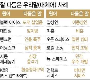 잘 쓰이는 대체어 이유 있다