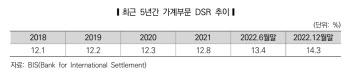 "연소득서 DSR 부담 비중 5년간 지속 상승"