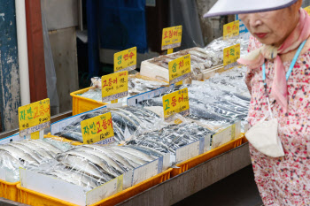 수산물 소비 활성화·안전성 홍보…각종 할인행사 열린다