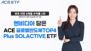 엔비디아 효과에…ACE글로벌반도체TOP4 ETF 수익률 1위