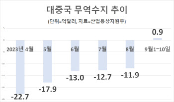 대중국 무역수지 12개월만에 흑자전환 흐름…수출 반등은 아직(종합)