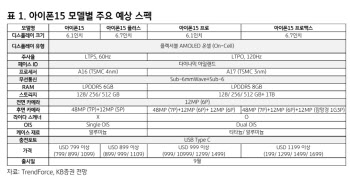 "아이폰 비관론은 매수 기회…韓 디스플레이 업체 기대감↑"