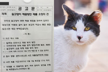 강남서 잡은 고양이 경기도에 방사? 아파트 방침 논란