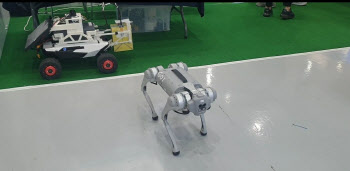 로봇이 땅 속 문화재 탐색·3D 스캔도 '뚝딱'…문화유산 최신기술 다 모였다