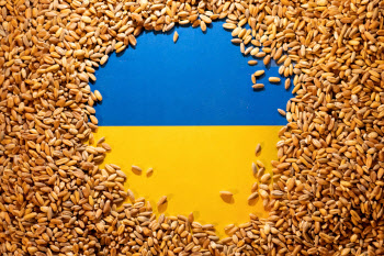 우크라, 농산물 금수 유지 폴란드 등 3개국에 반발…WTO 제소키로