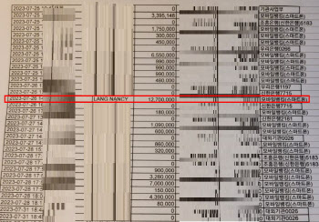 금감원 리딩방 특별단속에도 사기 판쳤다…낸시랭도 피해