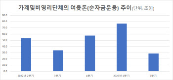 '집 사는 데 돈 썼다'…가계 2분기 여윳돈 28.6조로 반토막