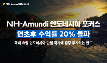 NH아문디운용, '인도네시아 포커스펀드' 연초 이후 20%↑