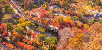붉게 물드는 화담숲…11월 중순까지 가을 단풍 축제 개최
