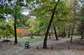 국립수목원, 휴게광장 일부구간 출입제한…수목 보호 목적