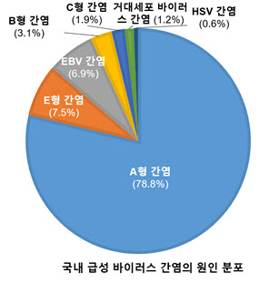 한국에서 가장 흔한 급성 바이러스 간염은? 'A형과 E형'