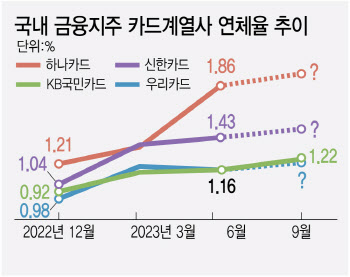 카드사 연체율에 경고등 또 번쩍이나…고개 드는 건전성 우려