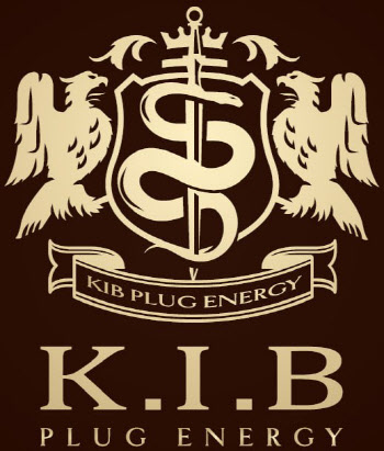 KIB PE, KIB에너지인프라홀딩스로 사명 변경...“에너지 전문 지주회사 도약”