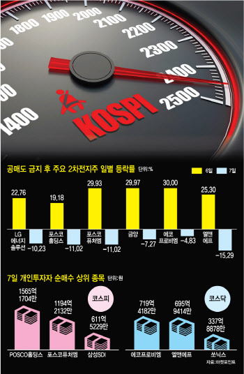 2차전지 불바다에…롤러코스터 타는 코스피