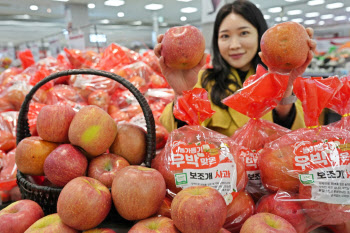 롯데마트·슈퍼, 우박 맞은 못난이 사과 판매…농가 돕기 앞장