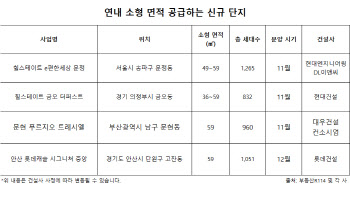 소형아파트 인기 '국민평형' 넘었다…청약경쟁율 2배 '껑충'