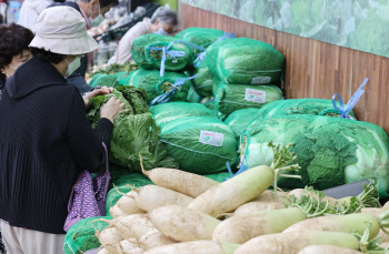 '힘들고, 비싸고'…늘어나는 '김포족'에 포장김치 시장 커진다