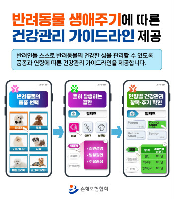'우리집 막둥이' 맞춤 보험 나온다···손보협회, '펫보험' 개발 박차
