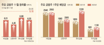 찬바람 불땐 배당이라더니…횡재세에 얼어붙은 금융주