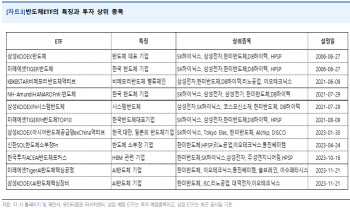 "각양각색 반도체 ETF 쏟아진다…내년 업황 기대 '쑥'"