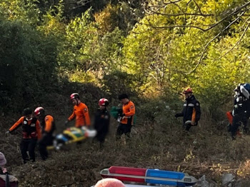 산에서 버섯 따던 70대 절벽 추락…신고 1시간 만에 구조