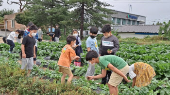 "전남·전북·강원서 생태교육"…서울교육청, 농촌유학생 모집