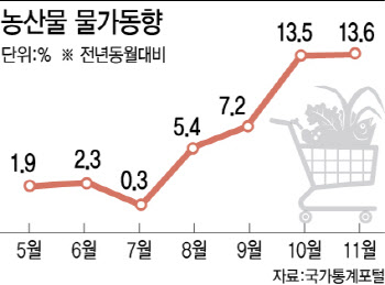 30개월 만에 최대폭 상승한 농산물…정부 “연말까지 할인지원”