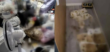 “방에서 배설물·쓰레기만 1톤”…청소 업체 부르고 먹튀한 女