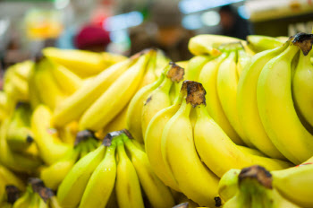 저렴해지는 바나나 가격...장바구니 부담 낮춘다