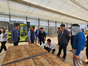 밀 대신하는 가루쌀, 기술개발에 탄력…내년엔 재배면적 5배 확대