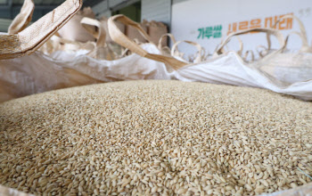 '쌀 대신 가루쌀' 직불금 2배 확대…농지이양 은퇴직불 첫 도입