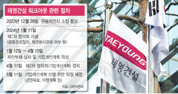 "강도 높은 자구안" vs "SBS·TY홀딩스 제외"…태영건설 워크아웃 힘겨루기