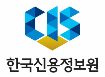 한국신용정보원 서비스 지연으로 보험 소비자들 '가입 지연'